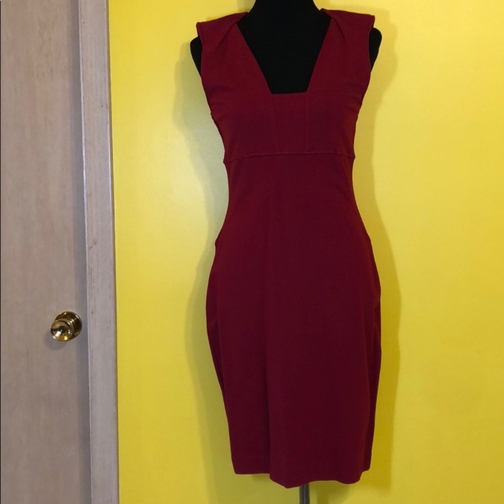 Express form fitted knee length red dress